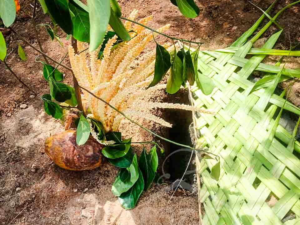 WhatsApp Image 2025-05-08 at 1.55.17 PM